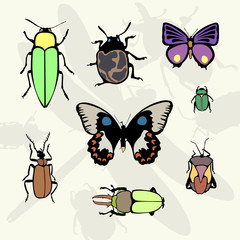 Set of colorful insects illustrations - beetles, bugs, dragonfly, and butterflies
