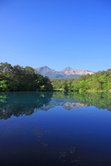 Fototapeta premium 初夏の五色沼（福島県・裏磐梯）