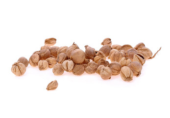 Siam Cardamom isolated on white background.