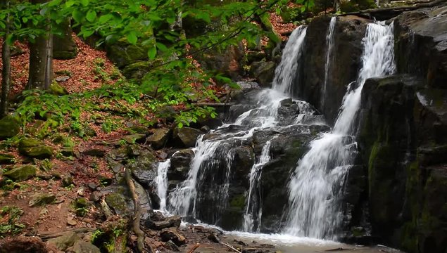 Waterfall Skakalo in deep forest. beautiful summer scenery of Carpathian nature. Wild place with huge mossy boulders, fallen trees and green foliage. front view with polarizing effect