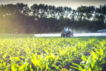 Vinnitsa/Ukraine - 05/30/2018: spraying micro fertilizers on the young corn field