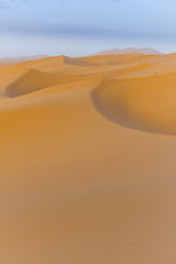 Fototapeta na wymiar Dune Lanscape