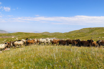 All around the world