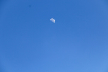 Lonly Moon