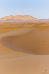 Fototapeta na wymiar Dune Lanscape