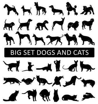 Big set of silhouettes of dogs and cats. Isolation on white background