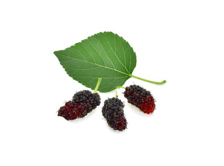Mulberry with leaf isolated on white background
