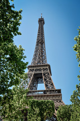 Eiffel Tower, view from Champ de Mars