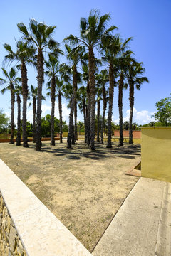 mediterranean botanical garden