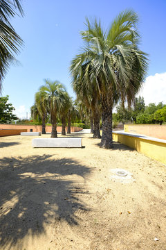 mediterranean botanical garden