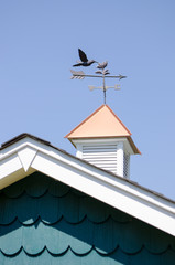Wind Vane