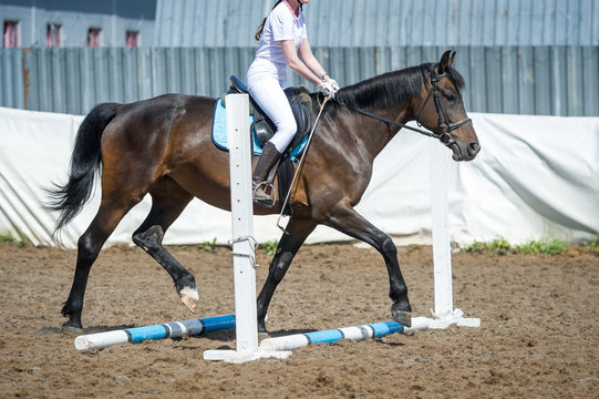 Training in horse riding, entry level. Cavaletti on a trot