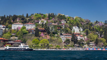 Buildings in Istanbul City, Turkey