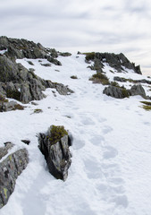 Montaña nevada