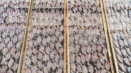 Traditional fish-drying on the beach of Nazare, Portugal, a fishermen village on the Atlantic coast