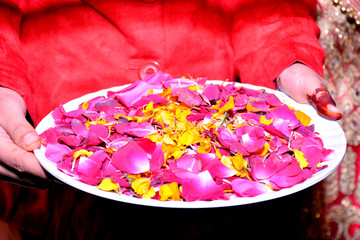 female holding plate of roses petals up