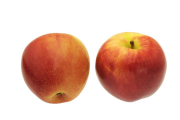 リンゴ　白抜き　ジャズアップル　ニュージーランド産