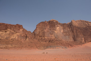Fototapeta na wymiar Camel caravan in Wadi Rum desert, Jordan