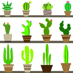 Vector home cactus icons. Cactus icons in a flat style on a white background. Home plants cactus in pots
