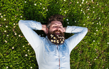 Hipster on smiling face lays on grass, top view. Man with beard and mustache enjoys spring, green...