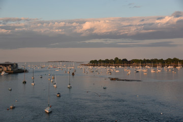 Naklejka premium Harbour at sunset 2