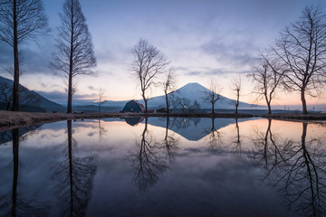 Mountain Fuji in the morning at Fumotopara camping ground, Fujinomiya , Shizuoka prefecture