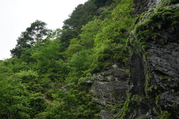 Fototapeta na wymiar 滝
