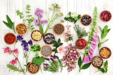 Herbs and Flowers for Herbal Medicine