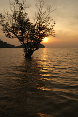 Sunrise over East Railay Beach in Krabi, Thailand