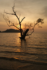 Sunrise over East Railay Beach in Krabi, Thailand