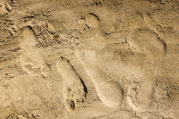 Fototapeta na wymiar Footprints in the sand on a beach from an adult's and a child's feet. Concept for traveling with children / family vacation and holiday.