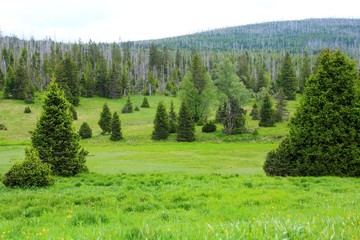 geschützte natur bömerwald