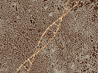Damaged ribonucleic acid or dna strand. 3d illustration
