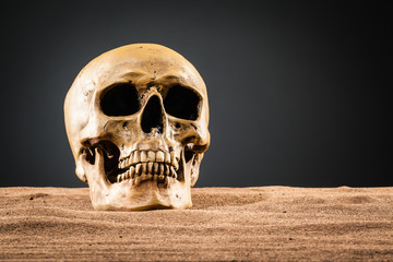 Dark human skull