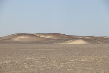 Landscapes and wildlife of Namibia