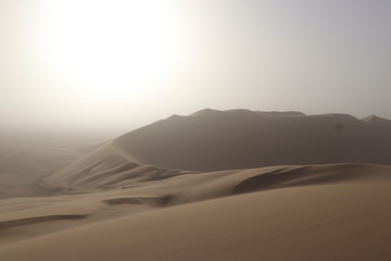 Landscapes and wildlife of Namibia