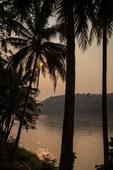 Fototapeta na wymiar Silhouette of palm trees and Mekong River in Luang Prabang, Laos, at sunset.