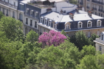 Paris in spring, view  from Eiffel tower