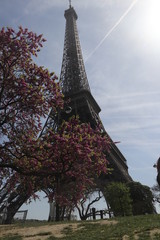 Paris in spring, view  from Eiffel tower
