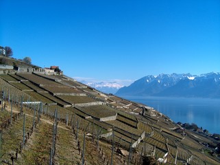 Le Lavaux