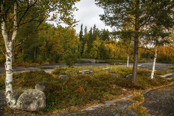 petroglyphs of Karelia, in the Landscape of Zalavruga