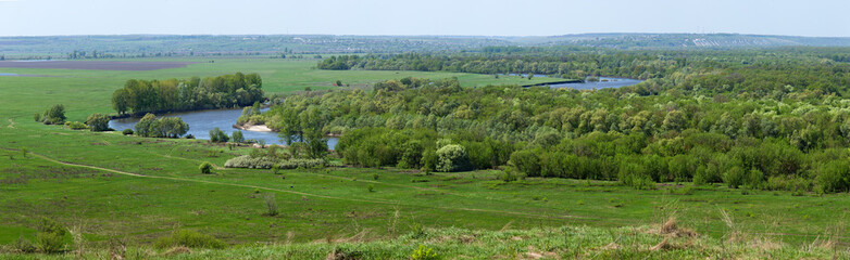 Fototapeta na wymiar Landscape in the valley of the Don River in central Russia. Top view of the spring meadow with grass and pond.