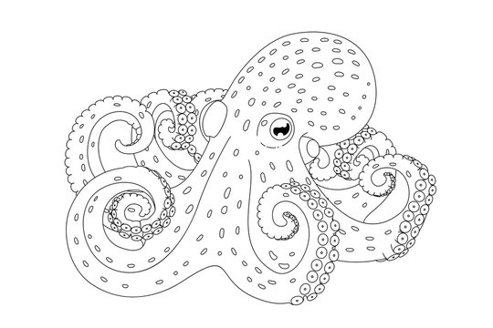 vector cartoon black line octopus isolated on white 
