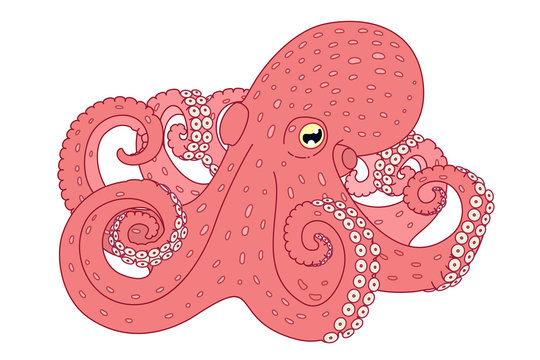 
vector cartoon flat red octopus isolated on white 
