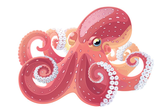 vector cartoon octopus. Aquatic water underwater animal. Hand drawn sketch. Wildlife sea ocean life. Aquarium exotic 
element. Nature pattern. Maritime, marine illustration isolated white background