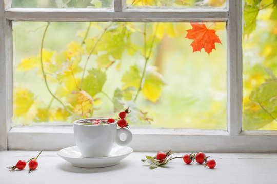 tea with berries of a dogrose on a windowsill