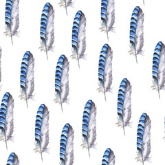 Seamless pattern with grey and blue feathers on white background. Hand drawn watercolor illustration.
