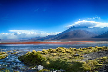 Laguna Colorada at the Altiplano (Bolivia)