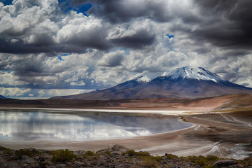 Laguna Honda at the Altiplano (Bolivia)