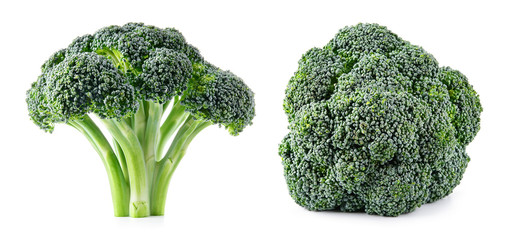 Broccoli. Broccoli isolated.